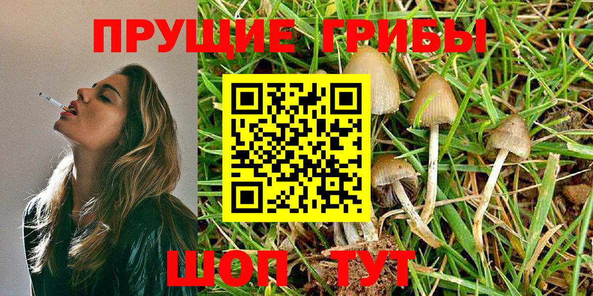 Галлюциногенные грибы мухоморы  Вход с VPN  купить   Углич 